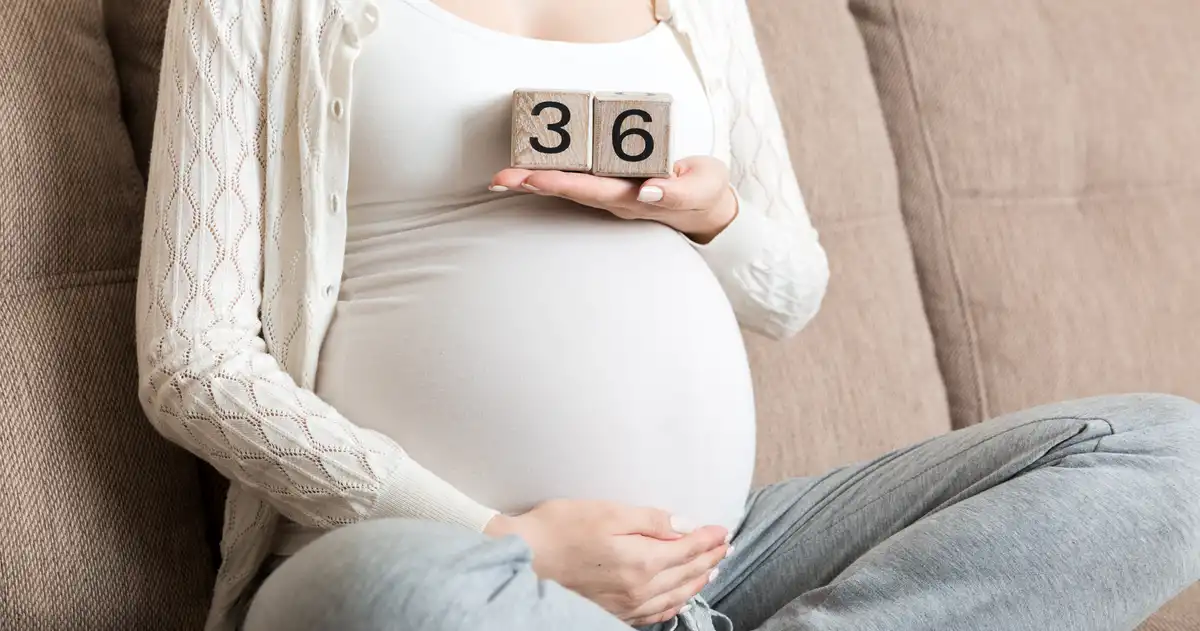 Calculate Week of Pregnancy Based on Due Date