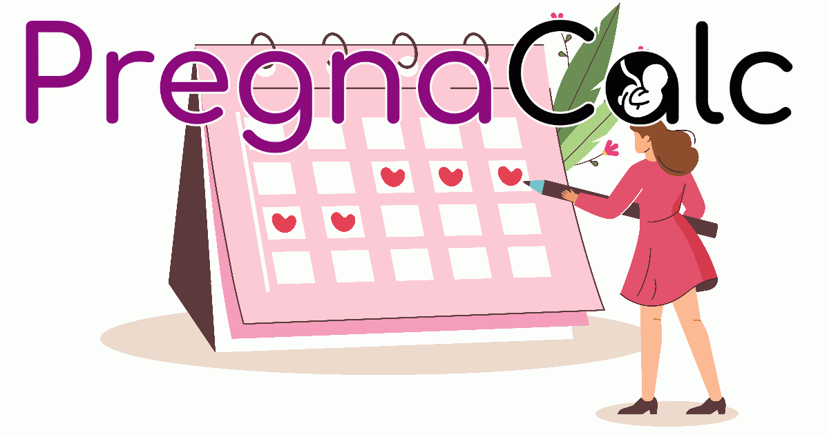 Calculate the most important dates for pregnancy 